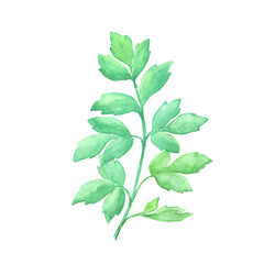 Similar image 13272812