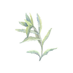 Similar image 13273053