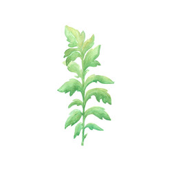 Similar image 13273064