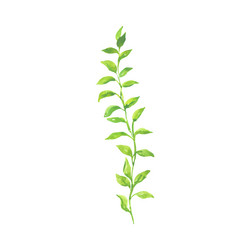 Similar image 13273079