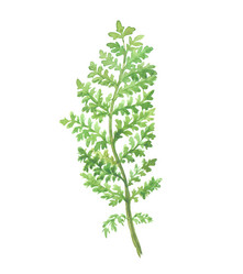 Similar image 13273127