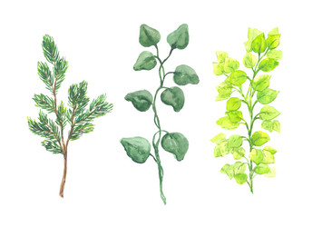 Similar image 13273129