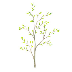 Similar image 13273130