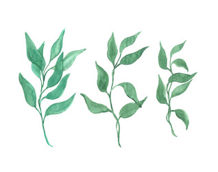 Similar image 13272625