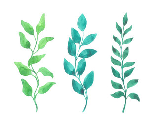 Similar image 13272654