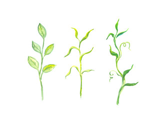 Similar image 13272655