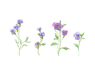 Similar image 13272692