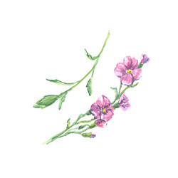 Similar image 13272693