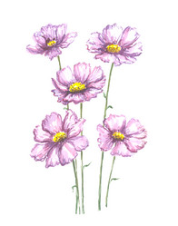 Similar image 13272694