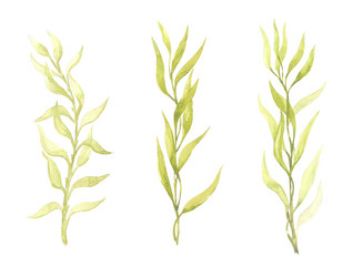 Similar image 13272702