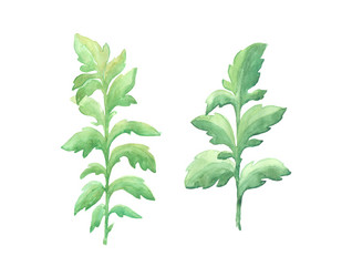 Similar image 13272704