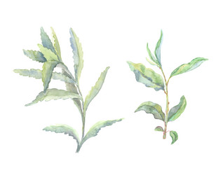 Similar image 13272726