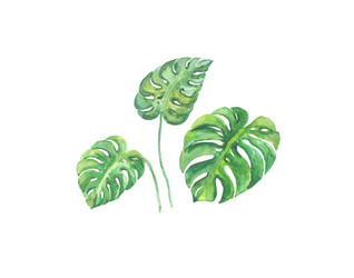 Similar image 13272861