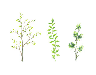 Similar image 13272855