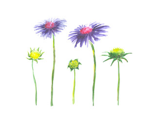 Similar image 13272856