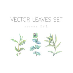 Similar image 13272658