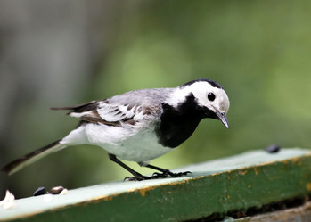 Similar image 13251487