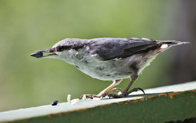 Similar image 13251488