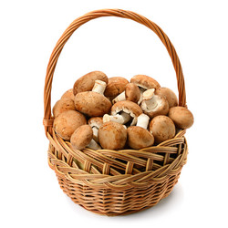 Similar image 13243150