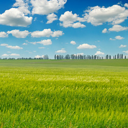 Similar image 13243162