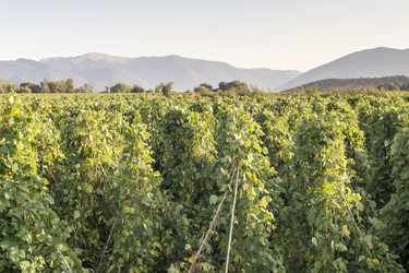 Similar image 13277043