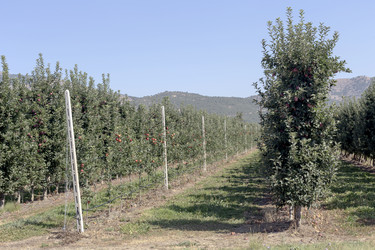 Similar image 13277029