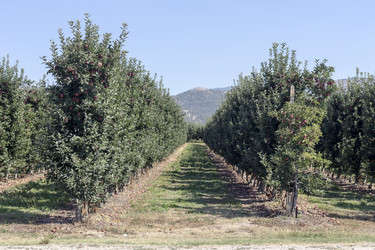 Similar image 13277031