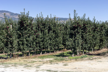 Similar image 13277032