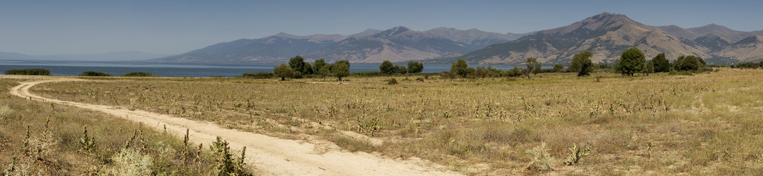 Similar image 13277033