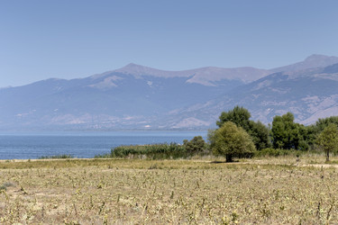 Similar image 13277039