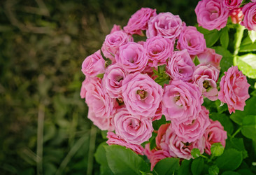 Similar image 13287956