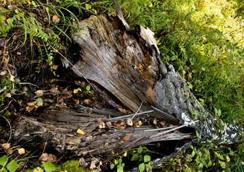 Similar image 13259003