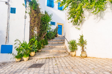 Similar image 13263979