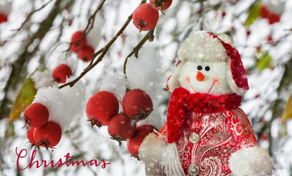 Similar image 13287947