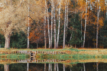 Similar image 13249134