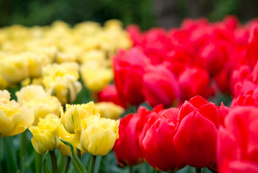 Similar image 13288476