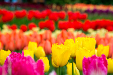 Similar image 13288517