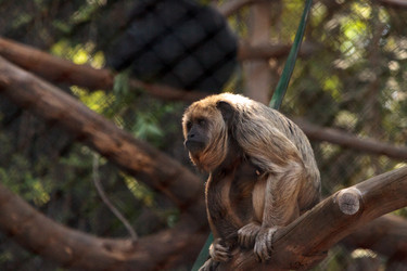 Similar image 13280761