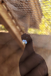 Similar image 13280762