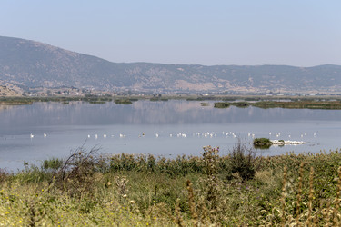 Similar image 13277089