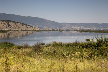 Similar image 13277090