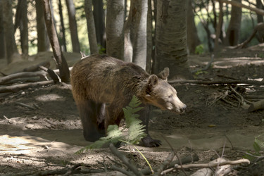 Similar image 13276947