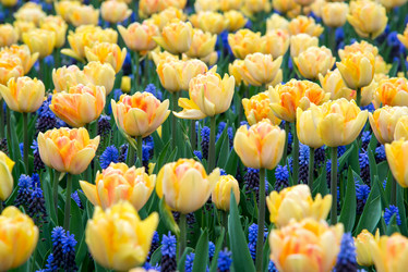 Similar image 13272286