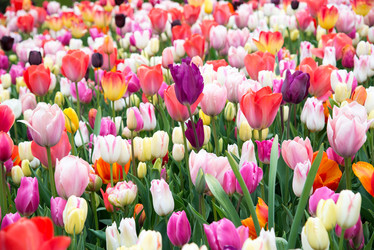 Similar image 13272294