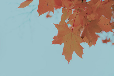 Similar image 13247923