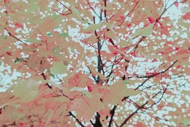 Similar image 13247924