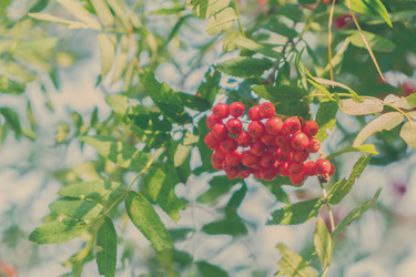 Similar image 13247926