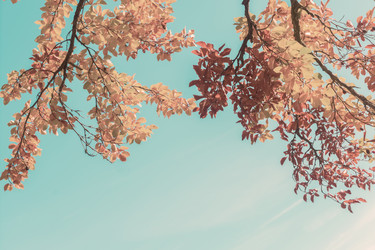 Similar image 13247952