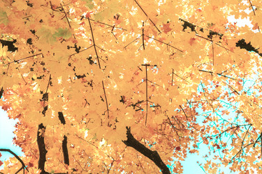 Similar image 13247953