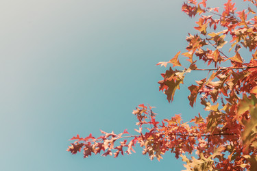 Similar image 13247954